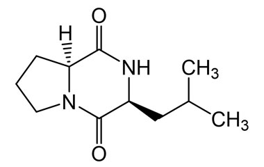 PA PEP 003418
