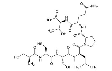 PA PEP 003427