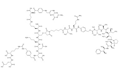 PA PEP 003449