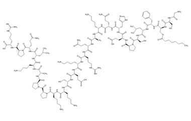 PA PEP 003452