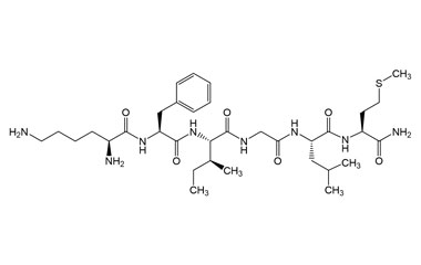 PA PEP 003461