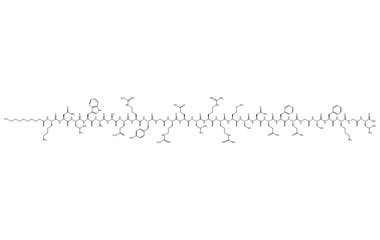 PA PEP 003466
