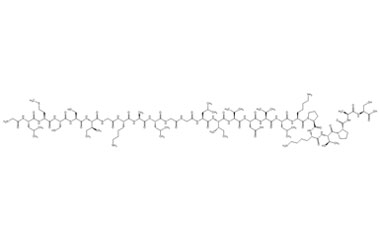 PA PEP 003482