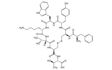 PA PEP 003485