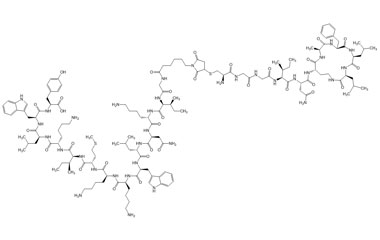 PA PEP 003490