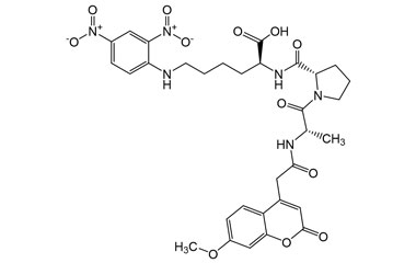 PA PEP 003494