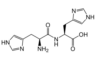 PA PEP 003498