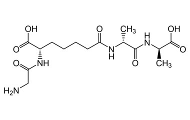PA PEP 003501