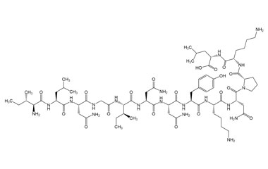 PA PEP 003504