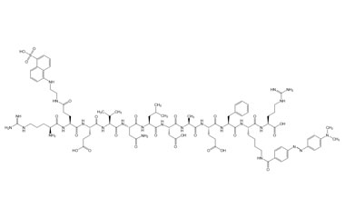 PA PEP 003517