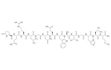 PA PEP 003522