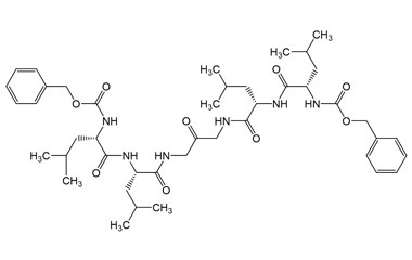 PA PEP 003523