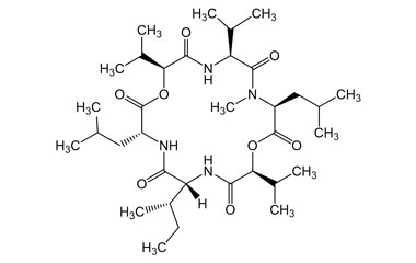PA PEP 003533
