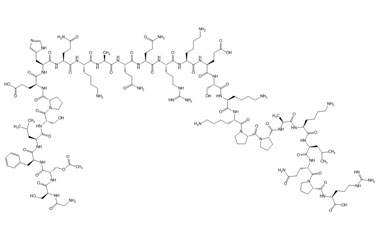 PA PEP 003539