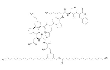 PA PEP 003543