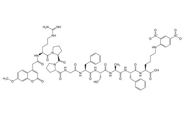PA PEP 003546