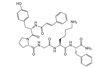 PA PEP 003551