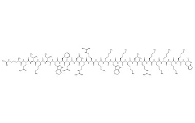 PA PEP 003554