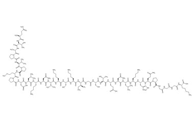 PA PEP 003564