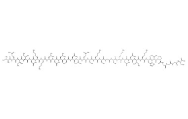 PA PEP 003565