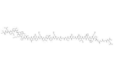 PA PEP 003566