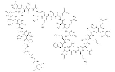 PA PEP 003567