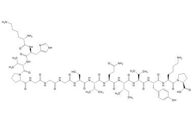 PA PEP 003572