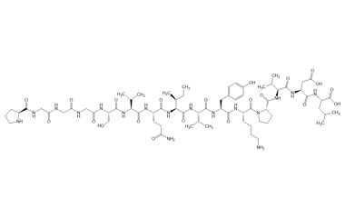 PA PEP 003573