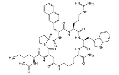 PA PEP 003646