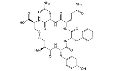 PA PEP 003647