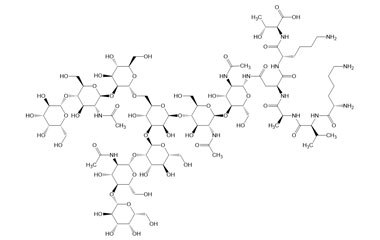 PA PEP 003652