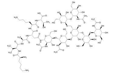 PA PEP 003653
