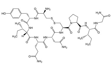 PA PEP 003654