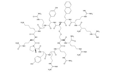 PA PEP 003657
