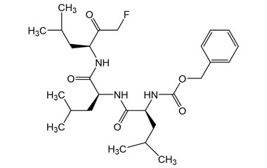 PA PEP 003662