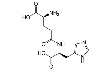 PA PEP 003667