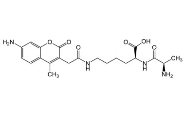 PA PEP 003671