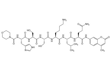 PA PEP 003682