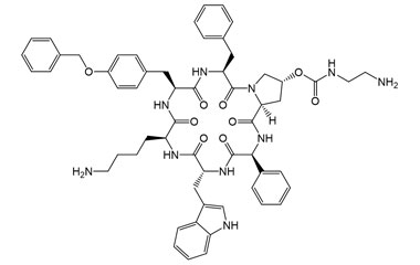 PA PEP 003712