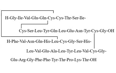 PA PEP 003716