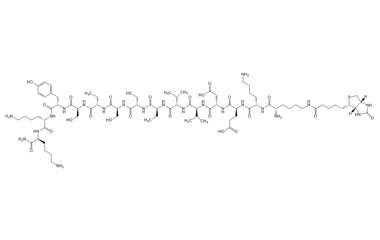PA PEP 003717