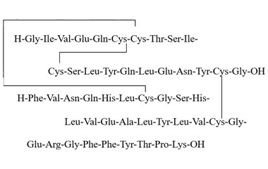 PA PEP 003719