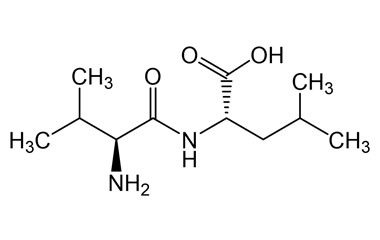 PA PEP 003723