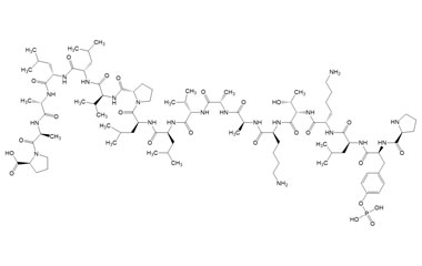 PA PEP 003725