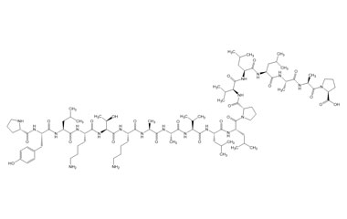 PA PEP 003726