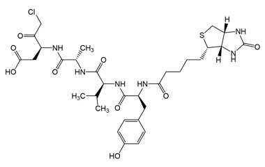 (3S,6S,9S,12S)-3-(2-Chloroacetyl)-12-(4-hydroxyben PA PEP 003730