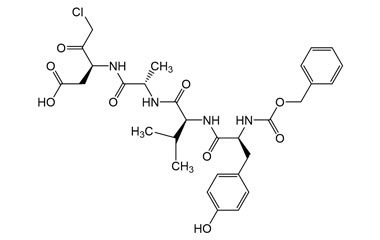 PA PEP 003731