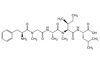 PA PEP 003745