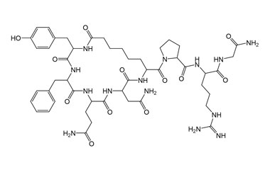 PA PEP 003748
