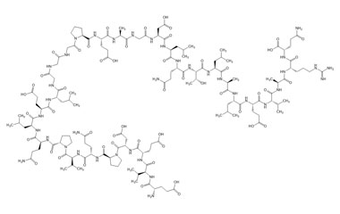 PA PEP 003755